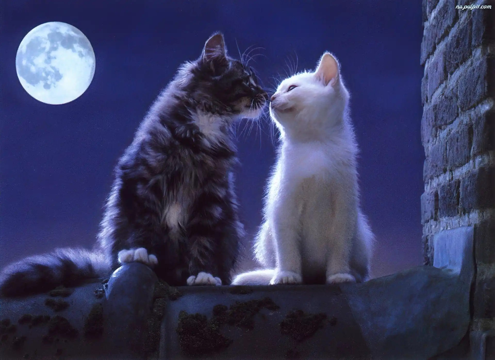 CHATS PAREJAS chats parejas: